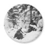 290th American Regiment in the Battle of the Bulge Refrigerator Magnets