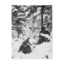 290th American Regiment in the Battle of the Bulge Postcards