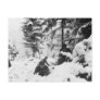 290th American Regiment in the Battle of the Bulge Post Card