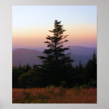 2973 POSTER