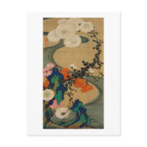 29. 菊花流水図, 若冲 Chrysanthemum & Stream, Jakuchū Postcards