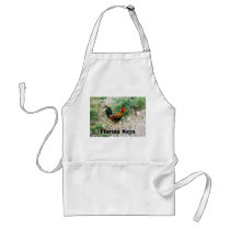 2-12-2007 (2)-07, Florida Keys aprons