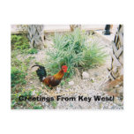 2-12-2007 (2)-07, Greetings From Key West! Postcard