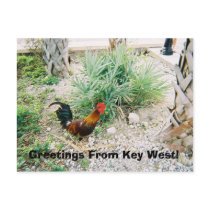 2-12-2007 (2)-07, Greetings From Key West! postcards