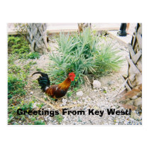 2-12-2007 (2)-07, Greetings From Key West! postcards
