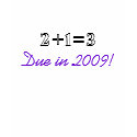 2+1=3, Due in 2009! t-shirts by mommy2v 2+1=3, Due in 2009! t-shirts