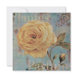 $2.35 Plantes Invitations invitation