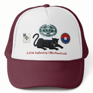 2/47th Infantry "Panthers" CMB Hat