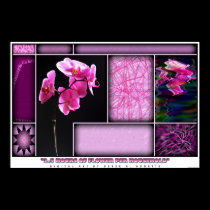 2.5 Hours of Flower Per Household posters