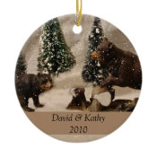 2 Bears Christmas Ornament ornament