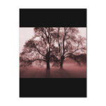 2 Big Trees Red Post Card