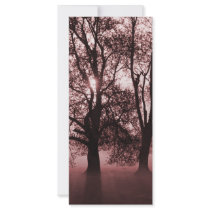 2 Big Trees Red rack cards