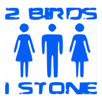2_birds_1_stone_poster-p228003181796142011td2a_210.jpg