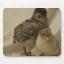 2 Blue/Gray Chicks Mouse Mats