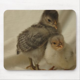 2 Blue/Gray Chicks mousepad