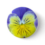 2 Blue Yellow Pansies Pin