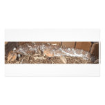 2 Bobs Photo Greeting Card