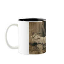 2 boys riding cart pulled by goat mug