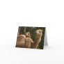 2 Camels Note Card