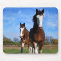 2 Clydesdales mousepad