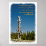 2 Corinthians 4:16 White Border Poster