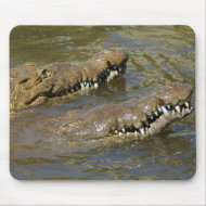 2 Crocs mousepad