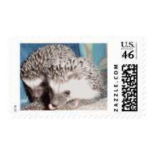 2 cute hedgehogs postage