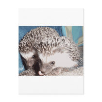 2 cute hedgehogs postcards by cthedgehogs 2 cute hedgehogs postcards