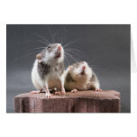 2 cute rats cards
