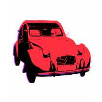 2 cv tee shirts
