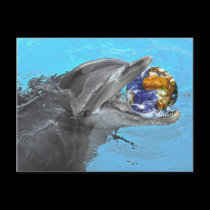 2 different dolphins on this postcard