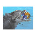 2 different dolphins on this postcard by photographs 2 different dolphins on this postcard