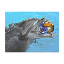 2 different dolphins on this postcard by photographs 2 different dolphins on this postcard