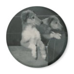 2 dogs box magnet