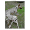 2 dogs cards