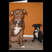 2 Dogs Card cards
