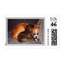 2 dogs cuddling! postage
