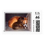 2 dogs cuddling! postage