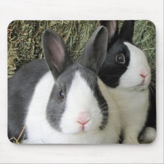 2 Dutch rabbits mousepad mousepad