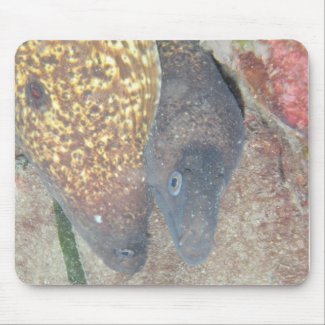 2 Eels Mousepads