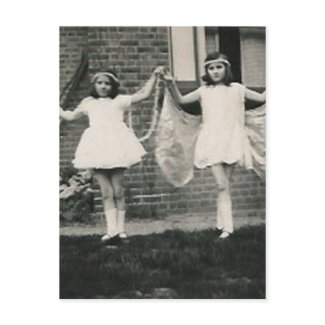 2 fairies post card postcard