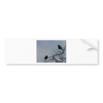 2 friends bumper stickers