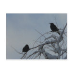 2 friends post cards