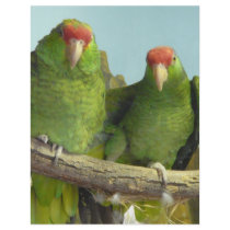 2 green parrots flyers