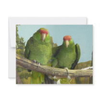 2 green parrots invitations