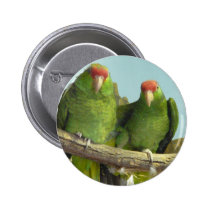 2 green parrots buttons