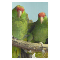 2 green parrots stationery