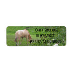 2 Horses Custom Return Address Labels