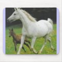 2 horses mousepads