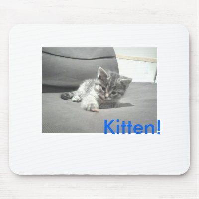 2, Kitten! Mousepad by maddyy4